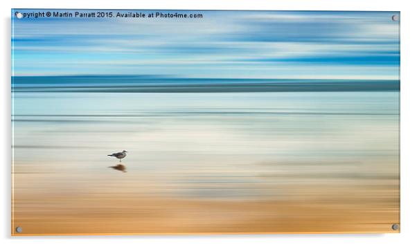 Bird on Bamburgh Beach Acrylic by Martin Parratt