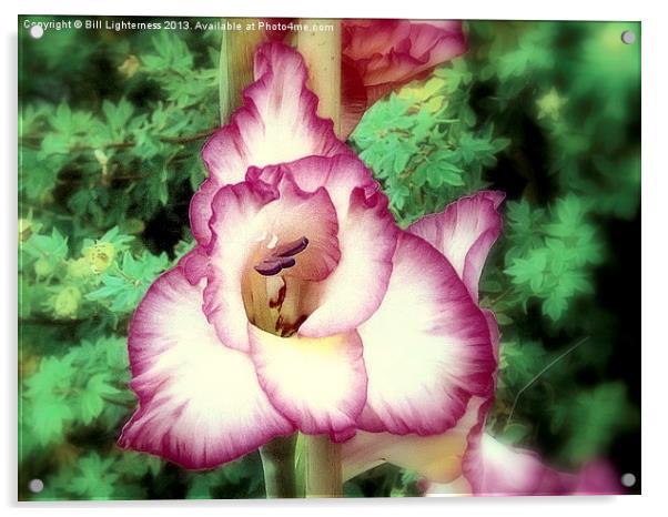 Flower art ! Acrylic by Bill Lighterness