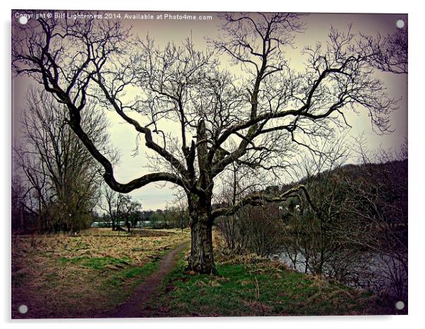 Moody tree by the River Acrylic by Bill Lighterness