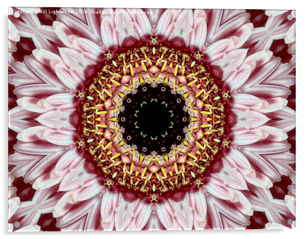 Floral Kaleidoscope Art Acrylic by Bill Lighterness
