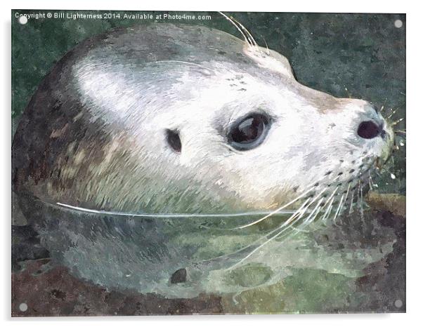 Seal in Water and Watercolour Acrylic by Bill Lighterness