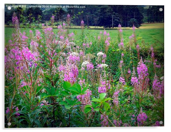 Growing Wild Acrylic by Bill Lighterness