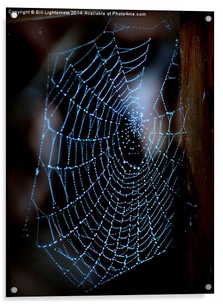  Droplets on the Spiders Web Acrylic by Bill Lighterness