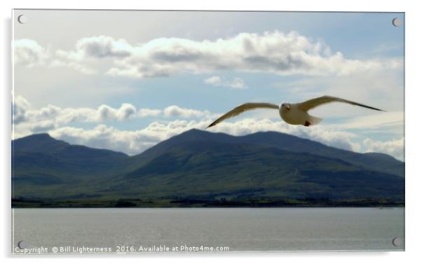 Flying over Mull Acrylic by Bill Lighterness