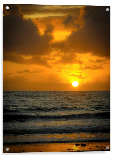 Sunrise in Queensland Acrylic by Rona Arkley