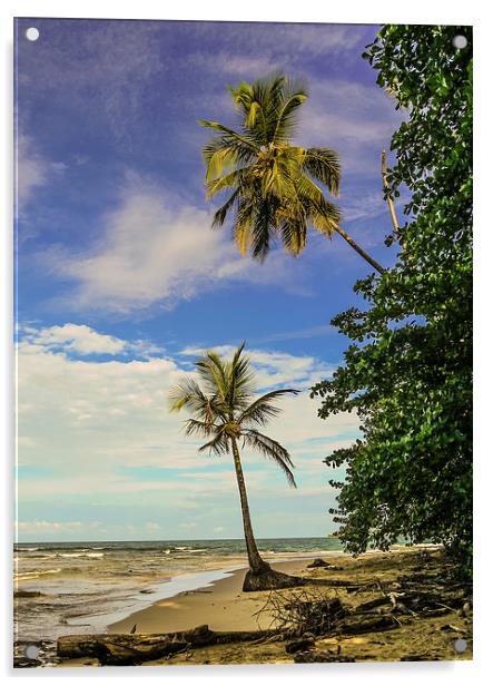 Palm Tree Paradise Acrylic by Laura Kenny