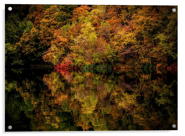  Autumn Acrylic by Laura Kenny