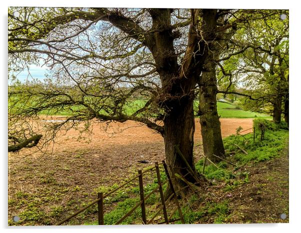 Edge of field outside Henfield, West Sussex, Engla Acrylic by Peter McCormack