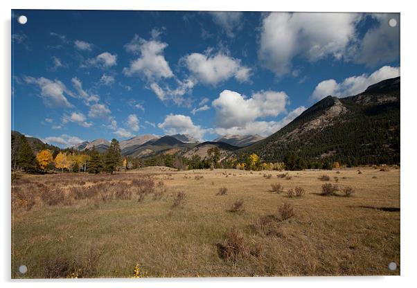 Rocky Mountain High Acrylic by Anne Rodkin