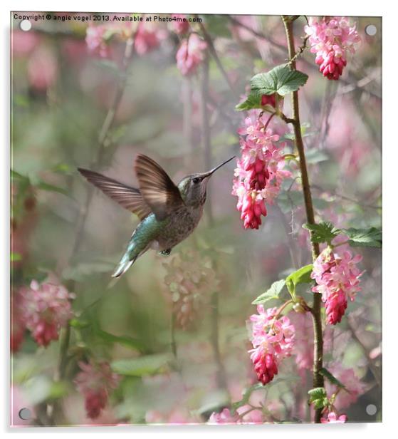 Hummingbird Heaven Acrylic by angie vogel