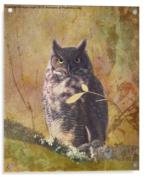 Autumn Owl Acrylic by angie vogel