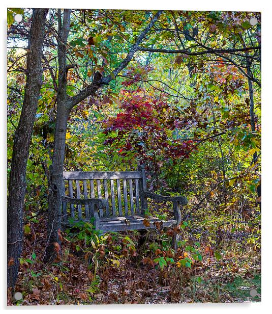 Arboretum bench Acrylic by Steven Ralser