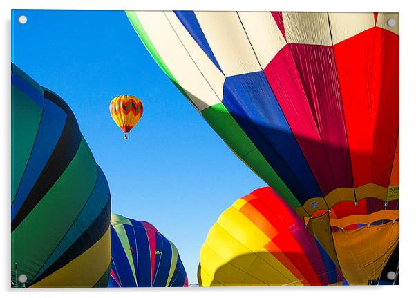 Socorro Balloon fiesta Acrylic by Steven Ralser