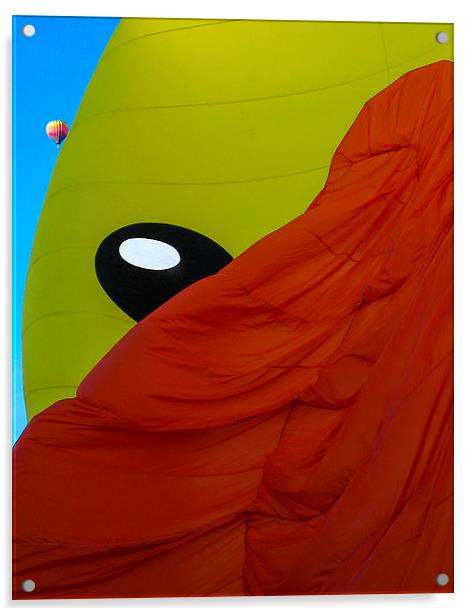 Hot air balloona Acrylic by Steven Ralser