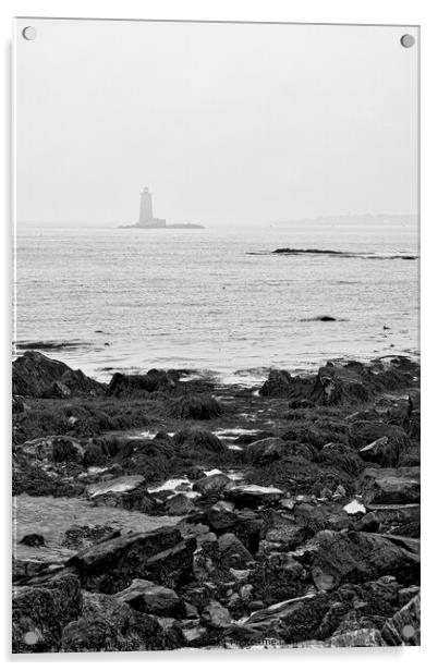 Whaleback Light House - Fort Foster - Maine Acrylic by Steven Ralser