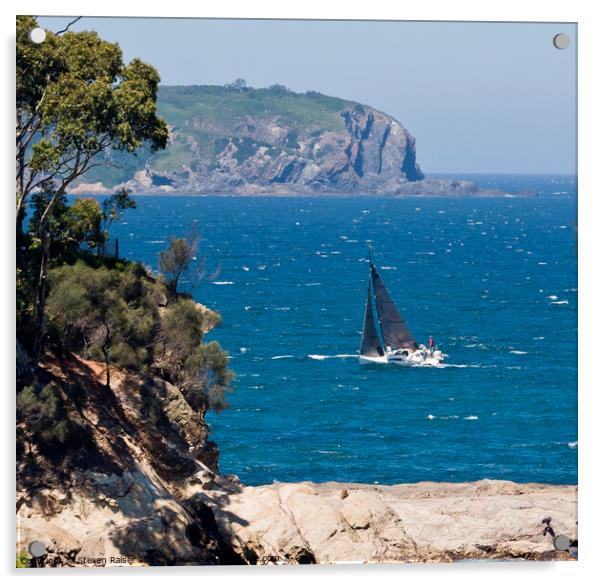 Sailing, NSW, Australia II Acrylic by Steven Ralser