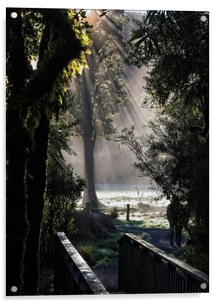 Lake Matheson Trail, New Zealand Acrylic by Steven Ralser