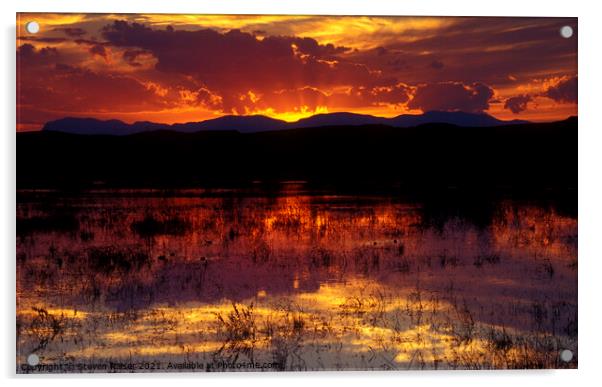 Bosque Sunset - orange Acrylic by Steven Ralser