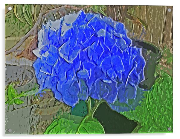 Hydrangea Blues Acrylic by Pamela Briggs-Luther