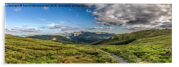 New Galloway Forest Park Panoramic Acrylic by David Attenborough