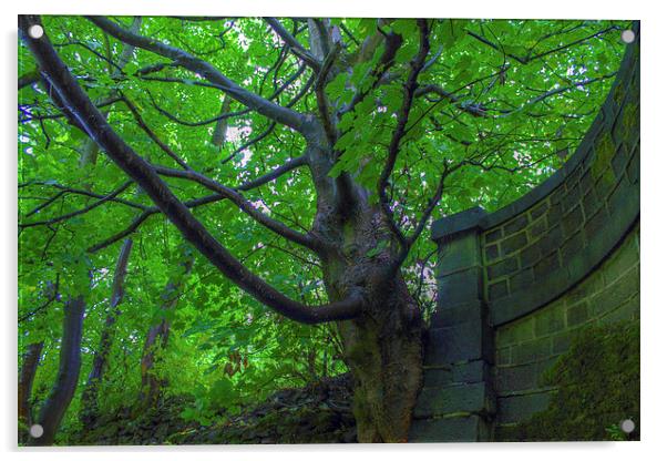 Green Sycamore Tree Acrylic by Juha Remes
