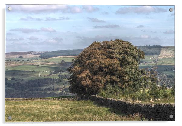 Yorkshire Countryside Scenery, England Acrylic by Juha Remes