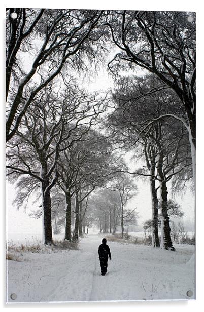 Stepping into Winter Acrylic by john joyce