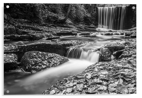 Plas Power Waterfall in mono Acrylic by Wendy Williams CPAGB