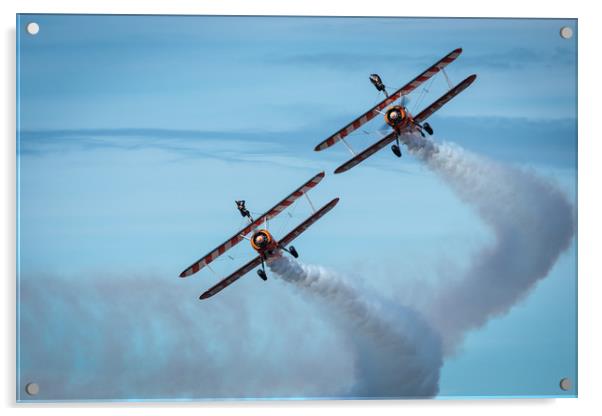Wing Walkers Acrylic by Wendy Williams CPAGB