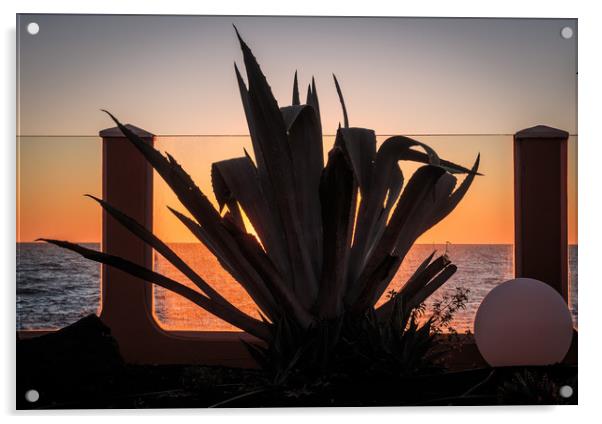 Cactus  silhouette at Sunrise Acrylic by Wendy Williams CPAGB