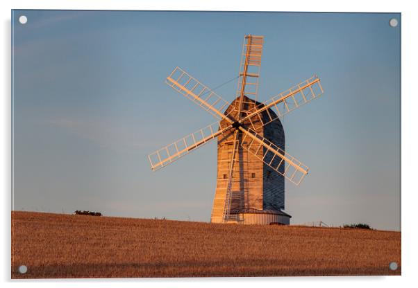 Windmill in Evening Light Acrylic by Wendy Williams CPAGB