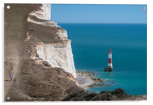 Beachy Head Lighthouse  Acrylic by Wendy Williams CPAGB