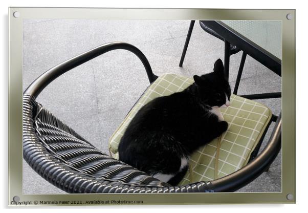 Black cat on a terrace Acrylic by Marinela Feier