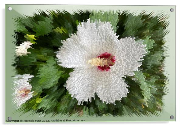 White flower puzzle Acrylic by Marinela Feier