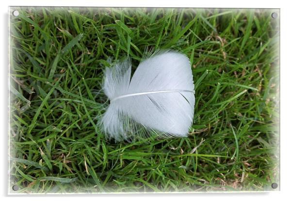  Lost feather Acrylic by Marinela Feier
