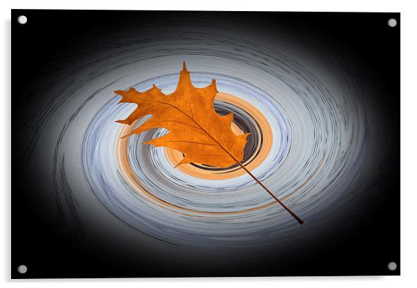  Floating leaf Acrylic by Marinela Feier