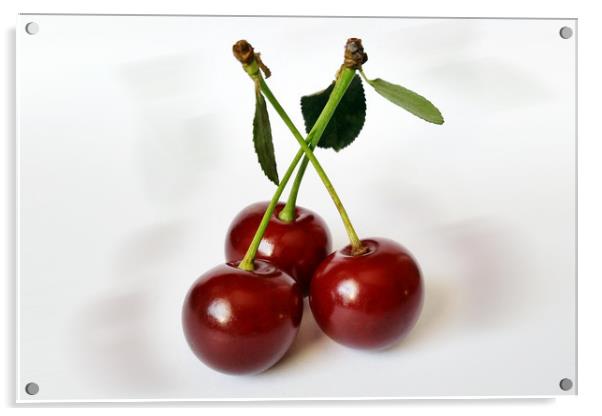 three sour cherries Acrylic by Marinela Feier