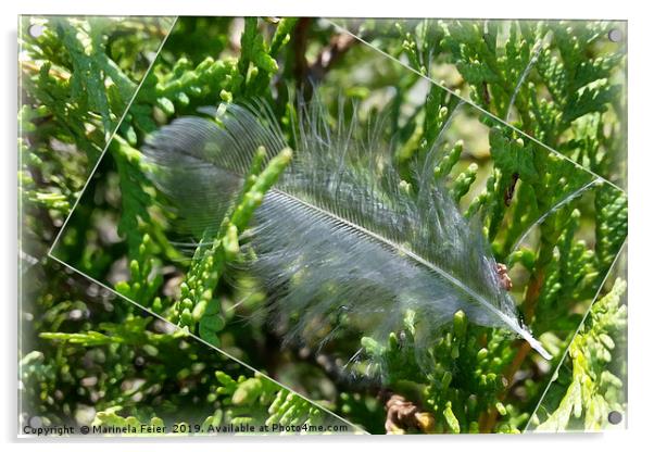 A stray feather Acrylic by Marinela Feier