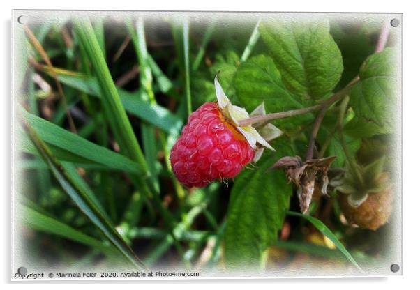 A ripe raspberry Acrylic by Marinela Feier