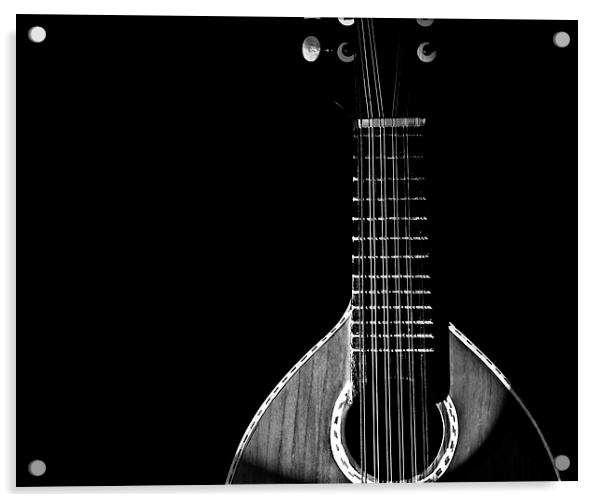 Black & White Mandolin Acrylic by leonard alexander