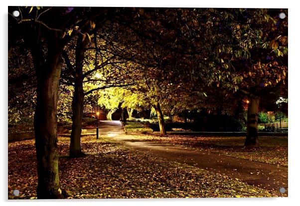 stapenhill gardens at night Acrylic by leonard alexander