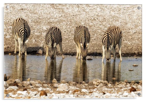Four Plains Zebras at the Waterhole Acrylic by Belinda Greb