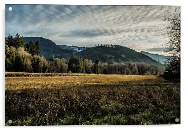Sky - Field - Light and Trees - Some Here Some Gon Acrylic by Belinda Greb