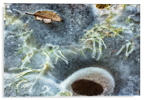  Beneath the Ice Acrylic by Belinda Greb