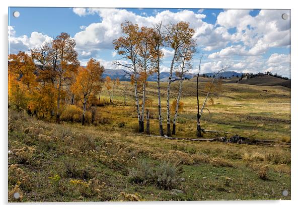  Lamar Valley in the Fall Acrylic by Belinda Greb
