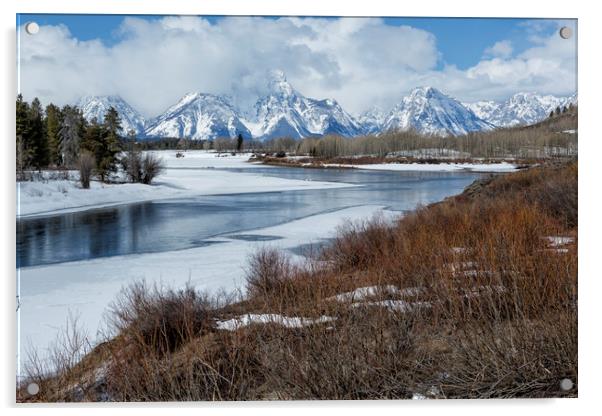 Grand Tetons from Oxbow Bend Acrylic by Belinda Greb