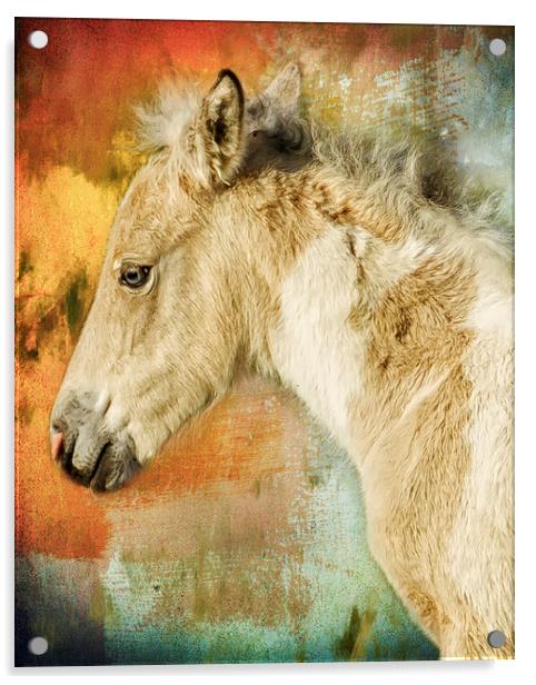 Portrait of a Filly Acrylic by Belinda Greb