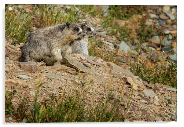 Together Acrylic by Belinda Greb