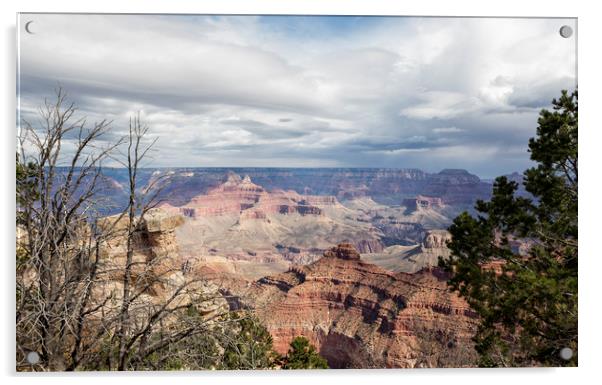 Grand Canyon, No. 1 Acrylic by Belinda Greb