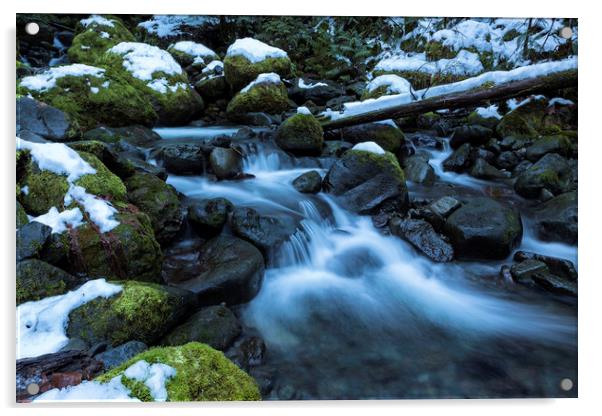 Snow, Moss, Water Over Rocks Acrylic by Belinda Greb